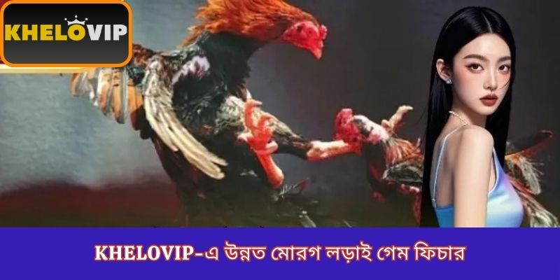KheloVIP-এ উন্নত মোরগ লড়াই গেম ফিচার